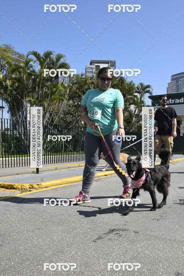 Buy your photos of the event2� Pet Run Shopping Eldorado  on Fotop