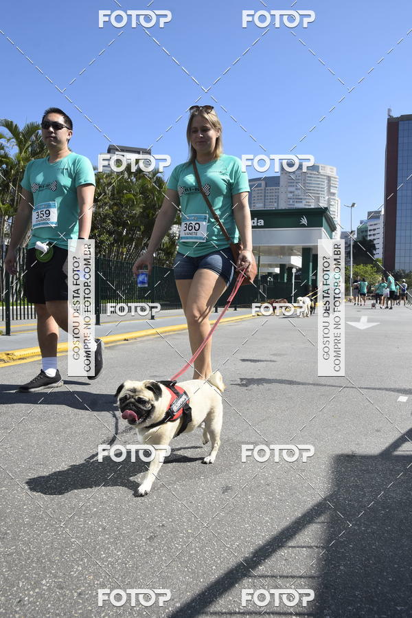 Buy your photos of the event2� Pet Run Shopping Eldorado  on Fotop