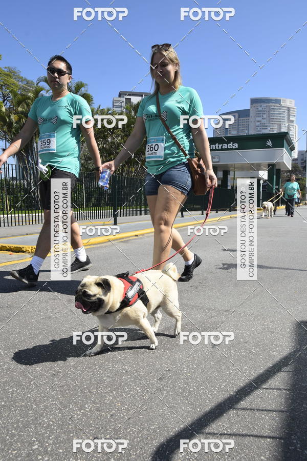 Buy your photos of the event2� Pet Run Shopping Eldorado  on Fotop