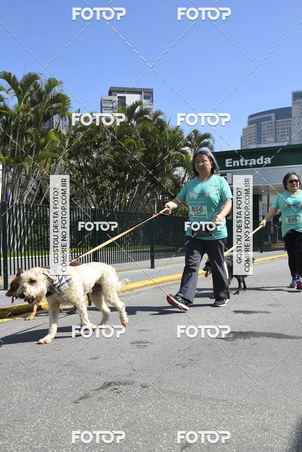 Buy your photos of the event2� Pet Run Shopping Eldorado  on Fotop