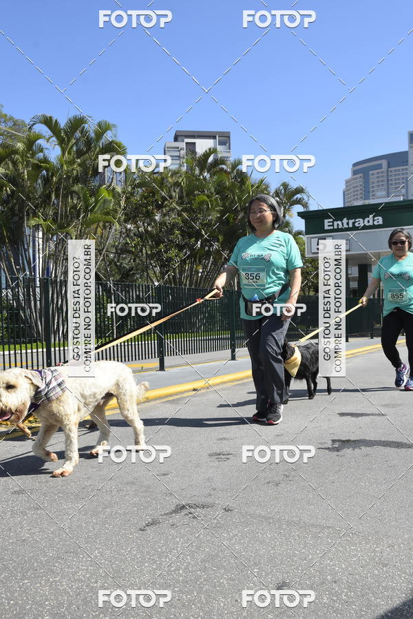 Buy your photos of the event2� Pet Run Shopping Eldorado  on Fotop