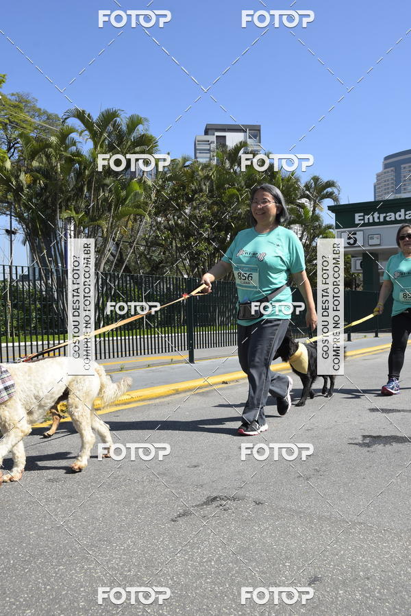 Buy your photos of the event2� Pet Run Shopping Eldorado  on Fotop