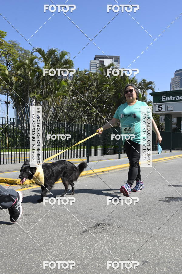 Buy your photos of the event2� Pet Run Shopping Eldorado  on Fotop