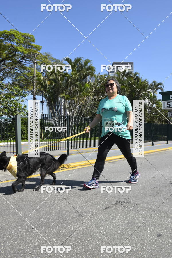 Buy your photos of the event2� Pet Run Shopping Eldorado  on Fotop