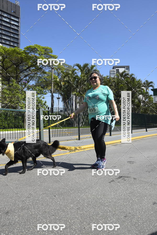 Buy your photos of the event2� Pet Run Shopping Eldorado  on Fotop