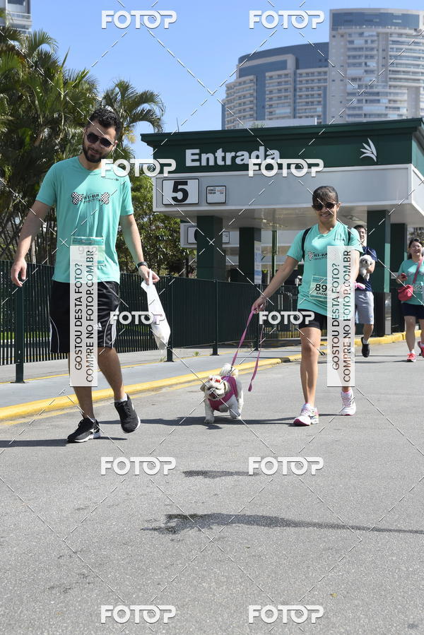 Buy your photos of the event2� Pet Run Shopping Eldorado  on Fotop