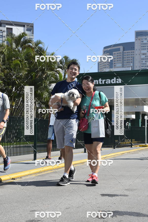 Buy your photos of the event2� Pet Run Shopping Eldorado  on Fotop