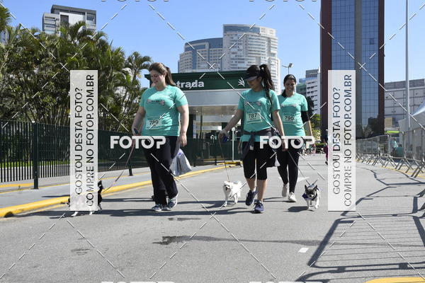 Buy your photos of the event2� Pet Run Shopping Eldorado  on Fotop