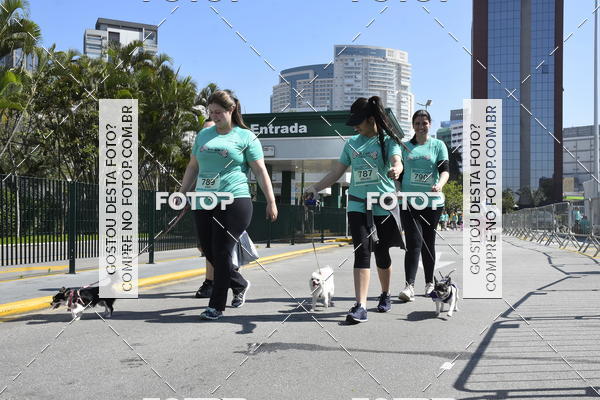Buy your photos of the event2� Pet Run Shopping Eldorado  on Fotop