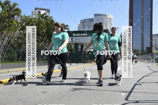 Buy your photos of the event2� Pet Run Shopping Eldorado  on Fotop