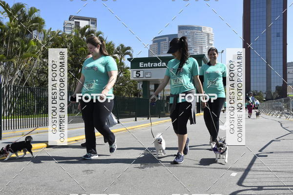 Buy your photos of the event2� Pet Run Shopping Eldorado  on Fotop