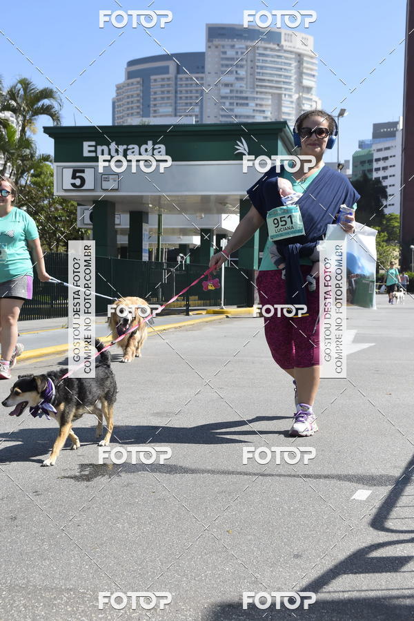 Buy your photos of the event2� Pet Run Shopping Eldorado  on Fotop