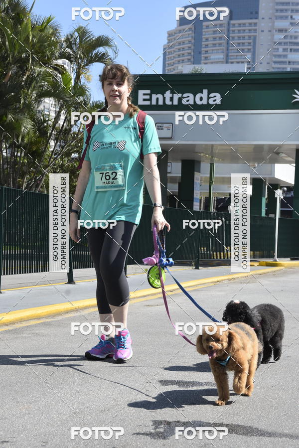 Buy your photos of the event2� Pet Run Shopping Eldorado  on Fotop