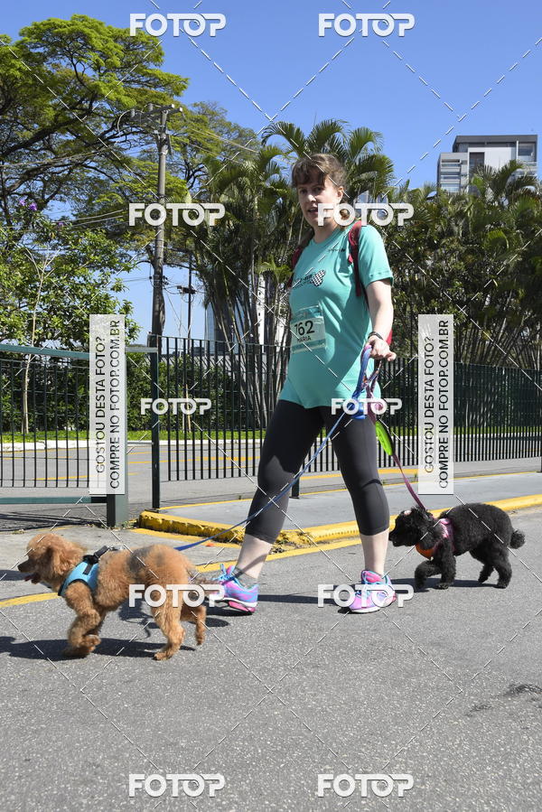 Buy your photos of the event2� Pet Run Shopping Eldorado  on Fotop