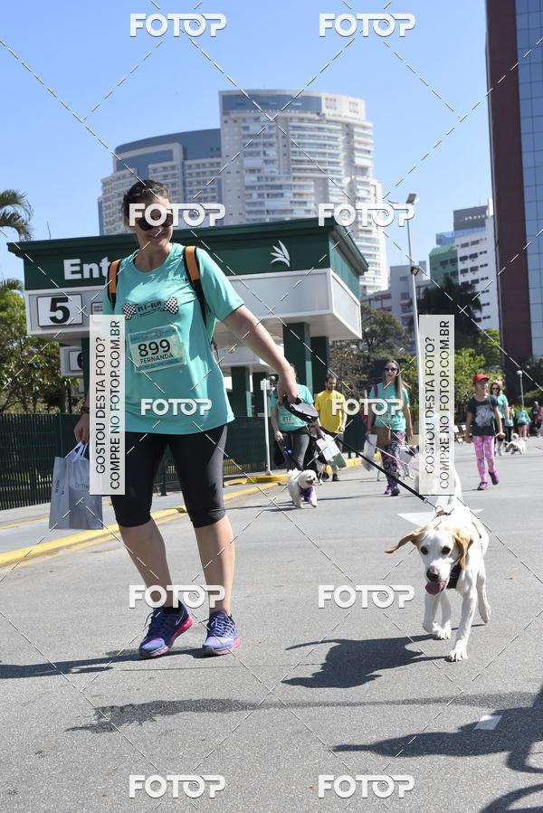 Buy your photos of the event2� Pet Run Shopping Eldorado  on Fotop