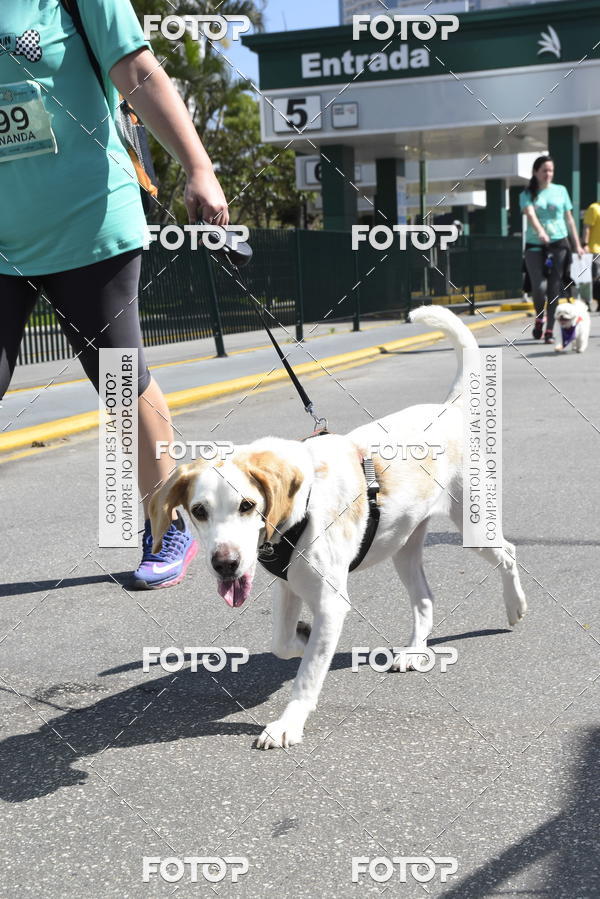 Buy your photos of the event2� Pet Run Shopping Eldorado  on Fotop