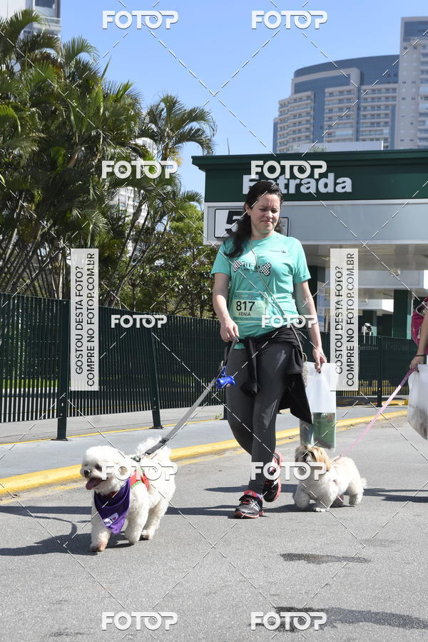 Buy your photos of the event2� Pet Run Shopping Eldorado  on Fotop
