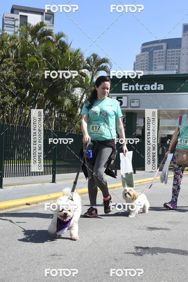 Buy your photos of the event2� Pet Run Shopping Eldorado  on Fotop