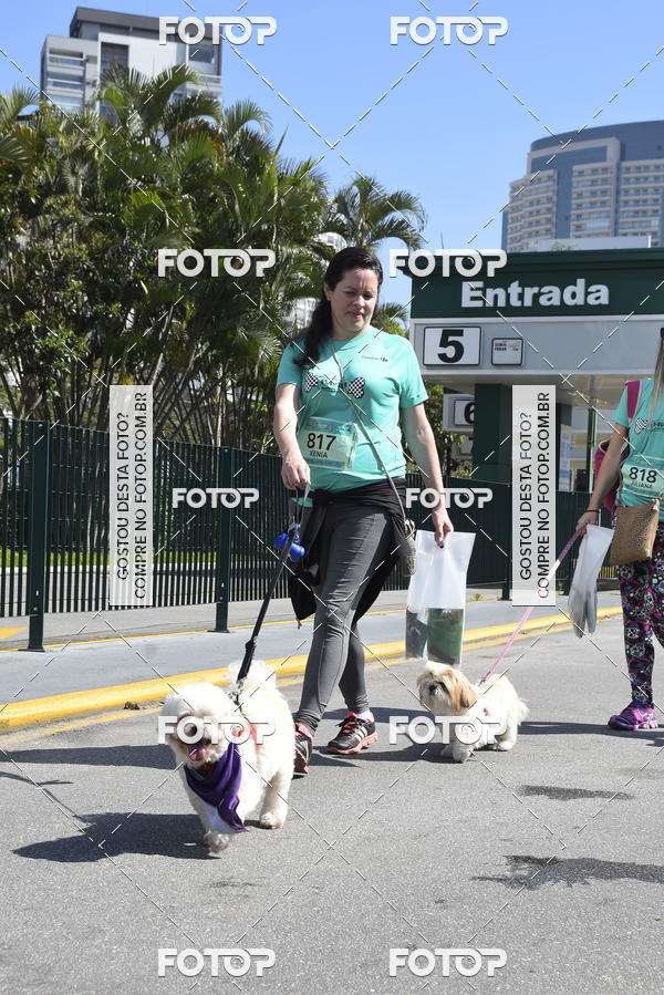Buy your photos of the event2� Pet Run Shopping Eldorado  on Fotop