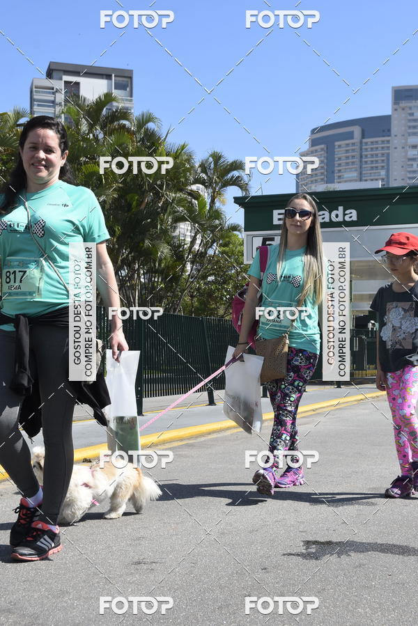 Buy your photos of the event2� Pet Run Shopping Eldorado  on Fotop