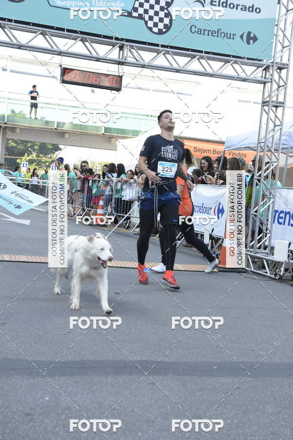 Acquista le foto dell'evento2 Pet Run Shopping Eldorado  in Fotop