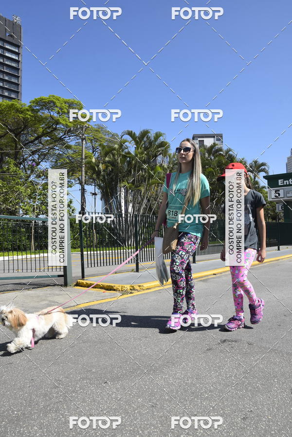 Buy your photos of the event2� Pet Run Shopping Eldorado  on Fotop