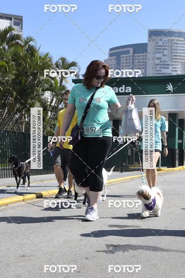 Buy your photos of the event2� Pet Run Shopping Eldorado  on Fotop