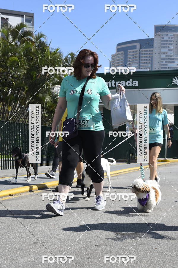 Buy your photos of the event2� Pet Run Shopping Eldorado  on Fotop