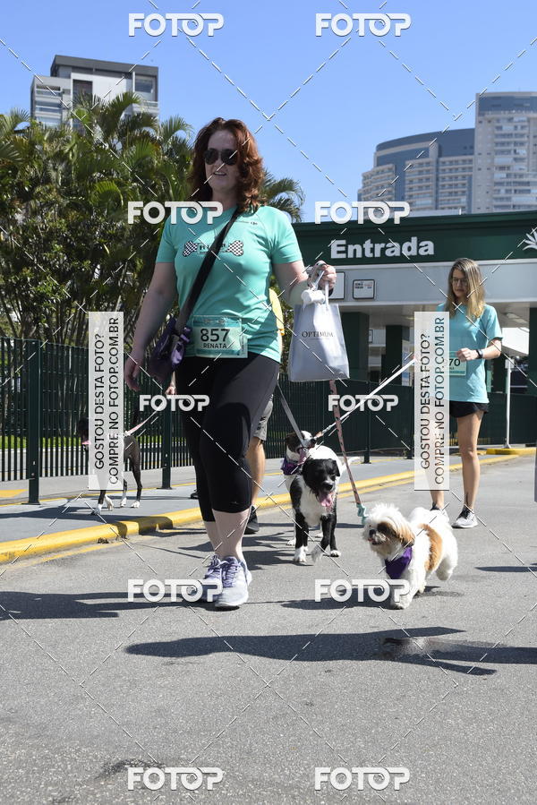 Buy your photos of the event2� Pet Run Shopping Eldorado  on Fotop