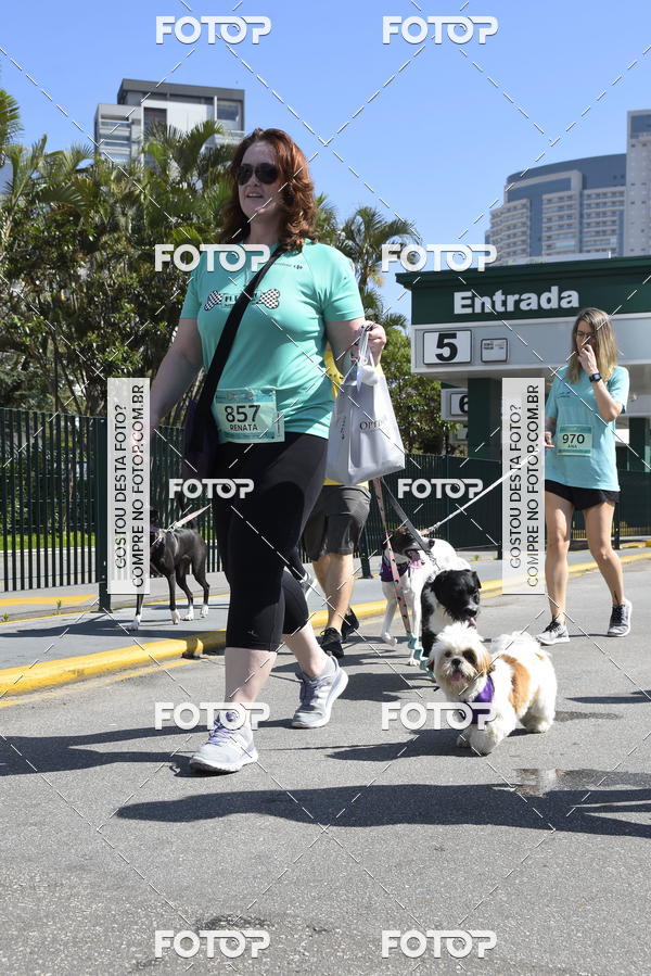 Buy your photos of the event2� Pet Run Shopping Eldorado  on Fotop