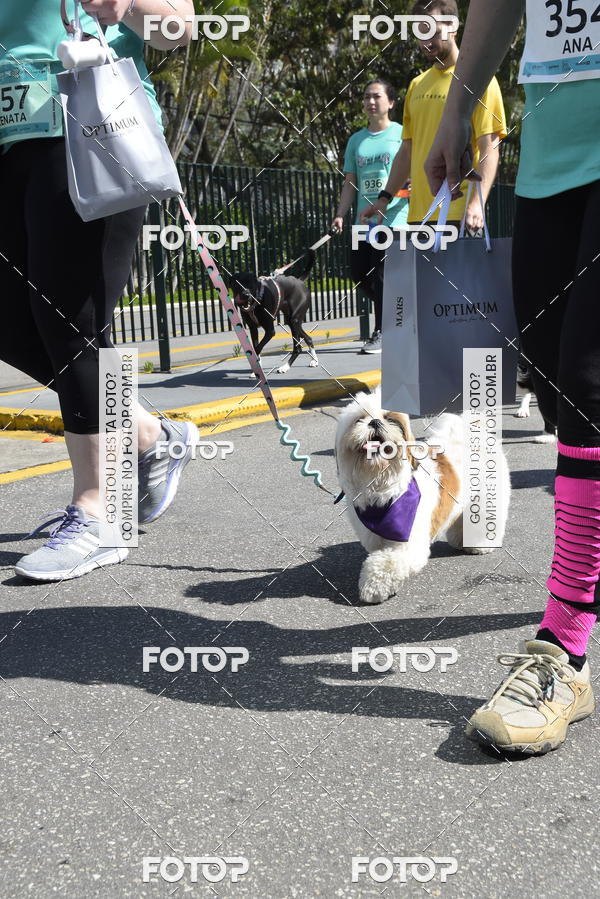Buy your photos of the event2� Pet Run Shopping Eldorado  on Fotop