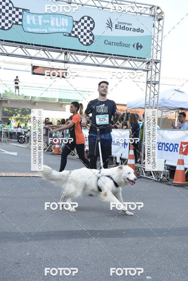 Acquista le foto dell'evento2 Pet Run Shopping Eldorado  in Fotop
