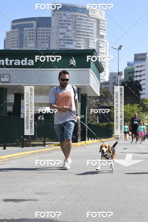 Buy your photos of the event2� Pet Run Shopping Eldorado  on Fotop