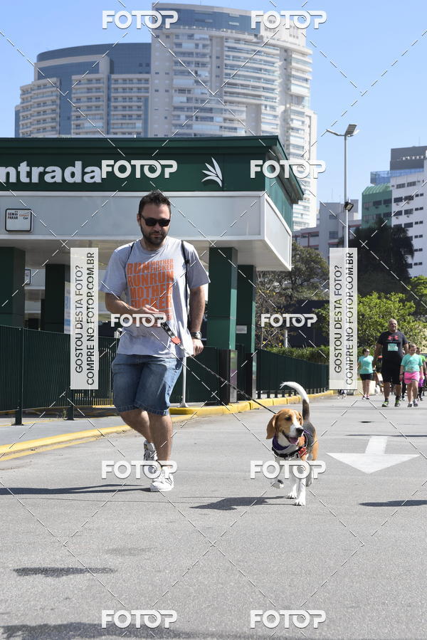 Buy your photos of the event2� Pet Run Shopping Eldorado  on Fotop