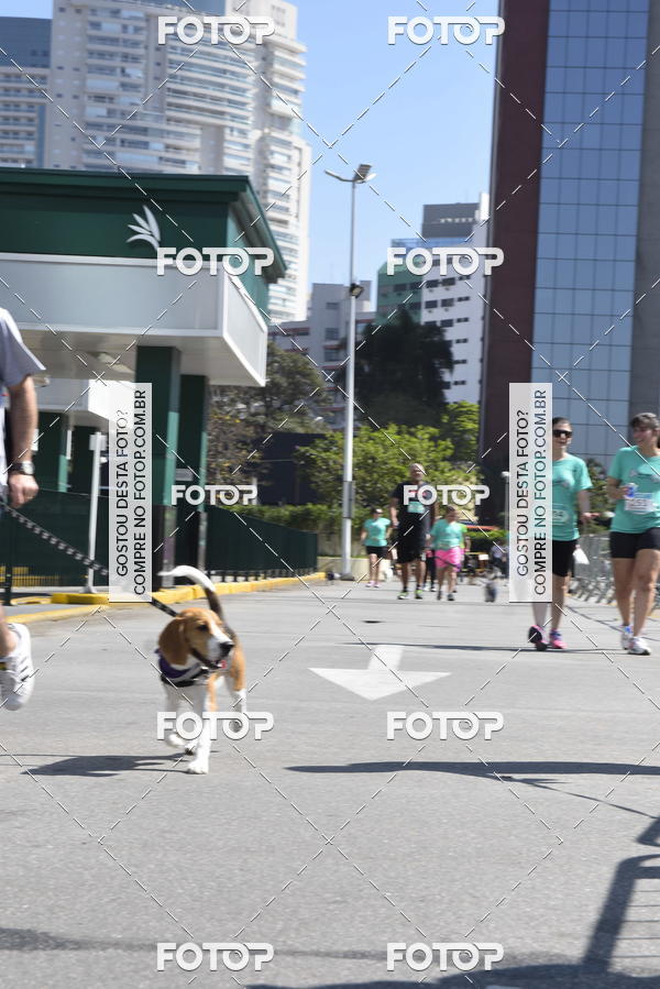 Buy your photos of the event2� Pet Run Shopping Eldorado  on Fotop