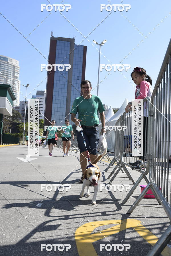 Buy your photos of the event2� Pet Run Shopping Eldorado  on Fotop