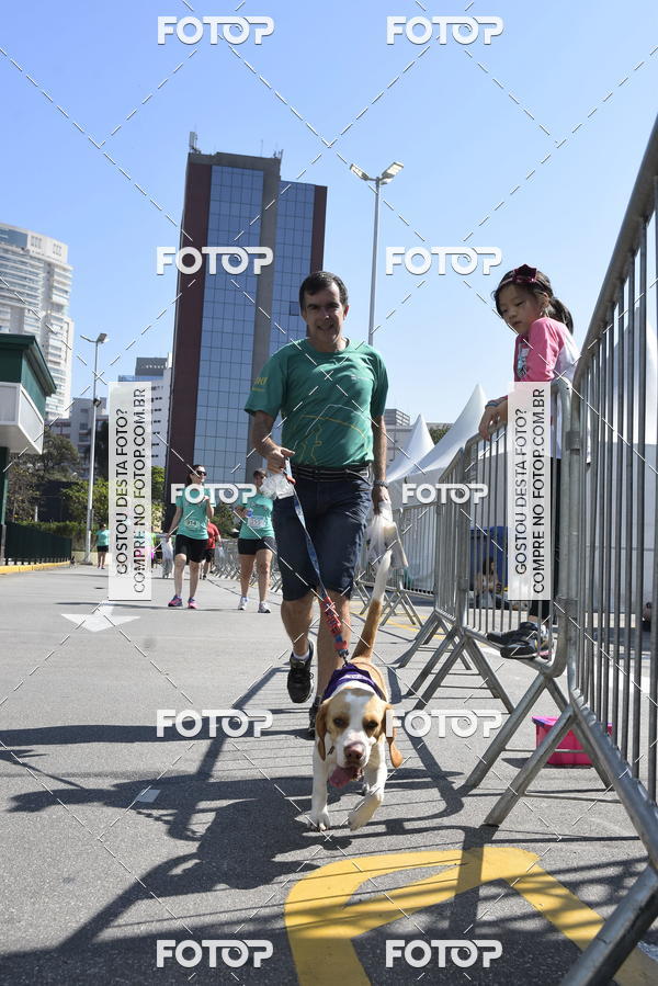 Buy your photos of the event2� Pet Run Shopping Eldorado  on Fotop