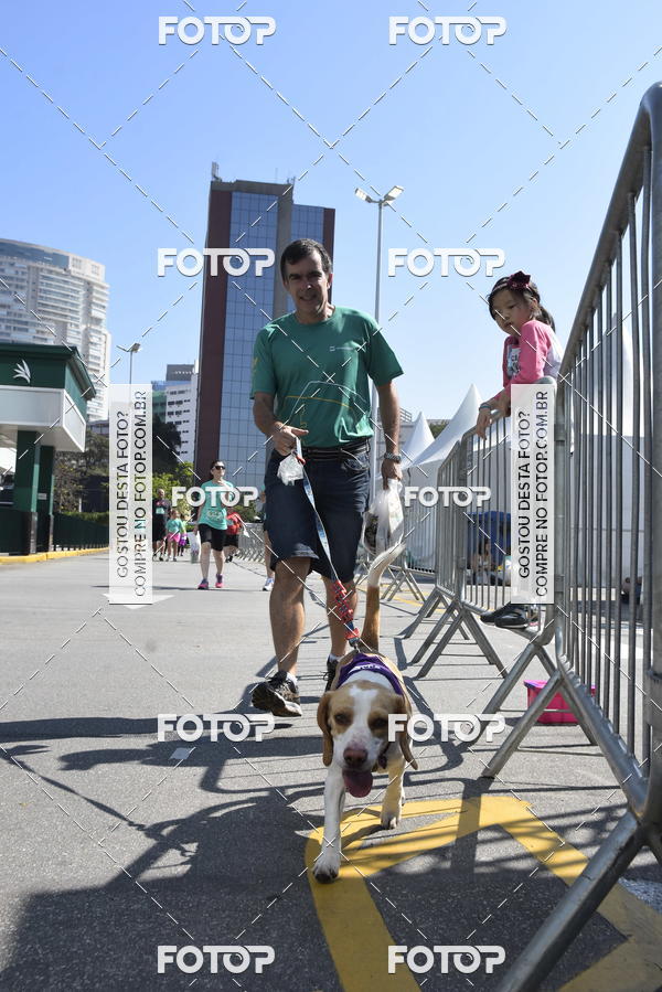 Buy your photos of the event2� Pet Run Shopping Eldorado  on Fotop