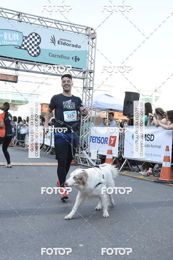 Acquista le foto dell'evento2 Pet Run Shopping Eldorado  in Fotop