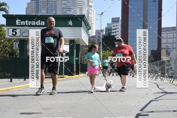 Buy your photos of the event2� Pet Run Shopping Eldorado  on Fotop