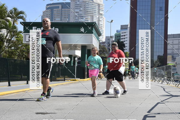 Buy your photos of the event2� Pet Run Shopping Eldorado  on Fotop