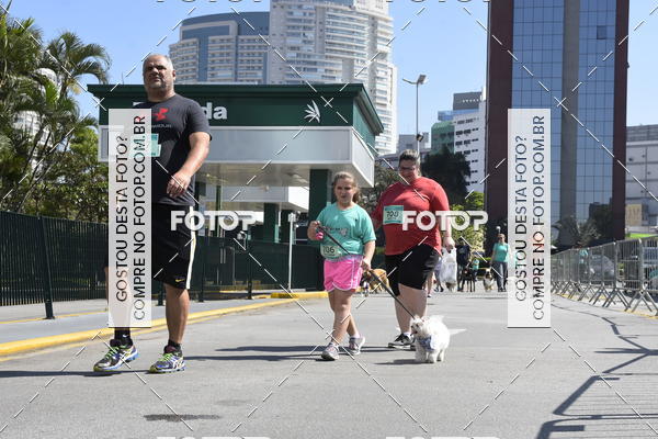 Buy your photos of the event2� Pet Run Shopping Eldorado  on Fotop