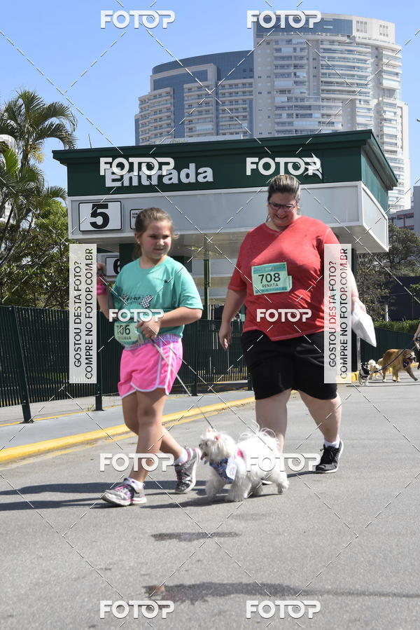 Buy your photos of the event2� Pet Run Shopping Eldorado  on Fotop
