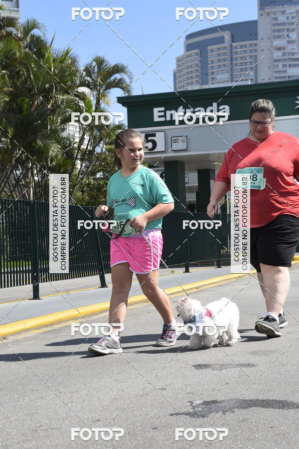 Buy your photos of the event2� Pet Run Shopping Eldorado  on Fotop