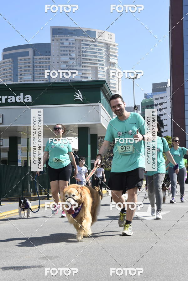 Buy your photos of the event2� Pet Run Shopping Eldorado  on Fotop