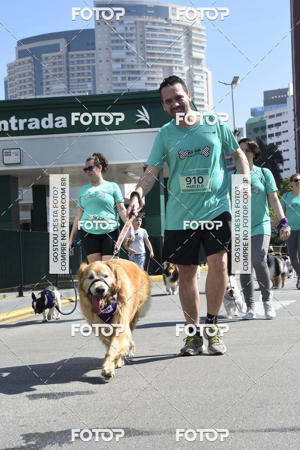 Buy your photos of the event2� Pet Run Shopping Eldorado  on Fotop