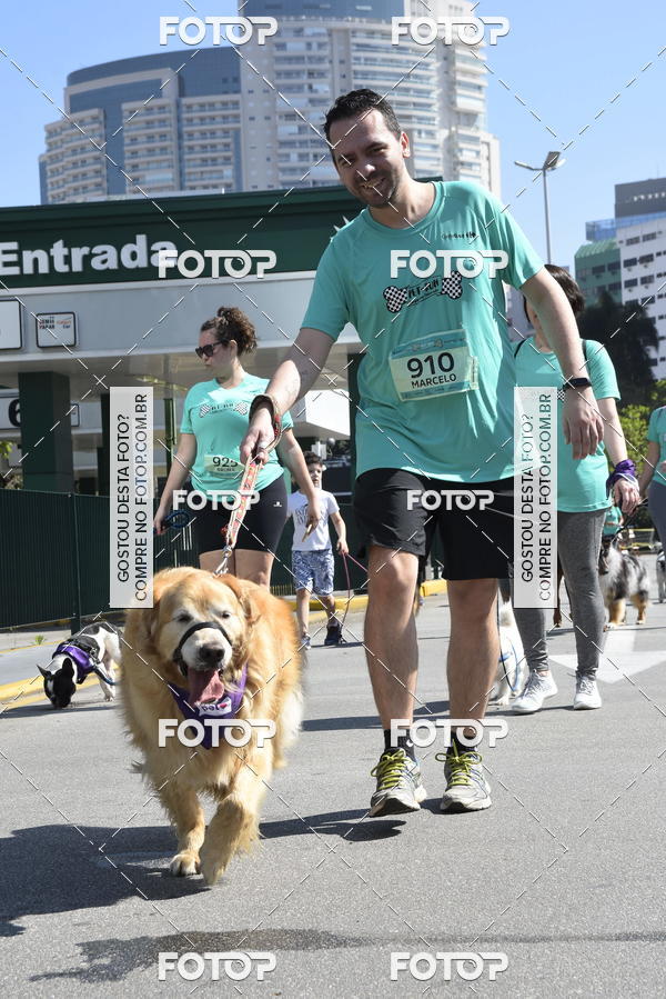 Buy your photos of the event2� Pet Run Shopping Eldorado  on Fotop