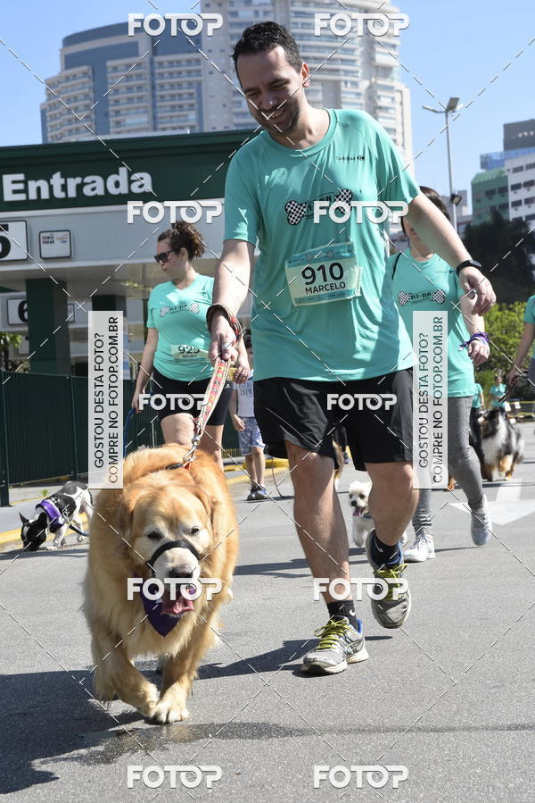 Buy your photos of the event2� Pet Run Shopping Eldorado  on Fotop