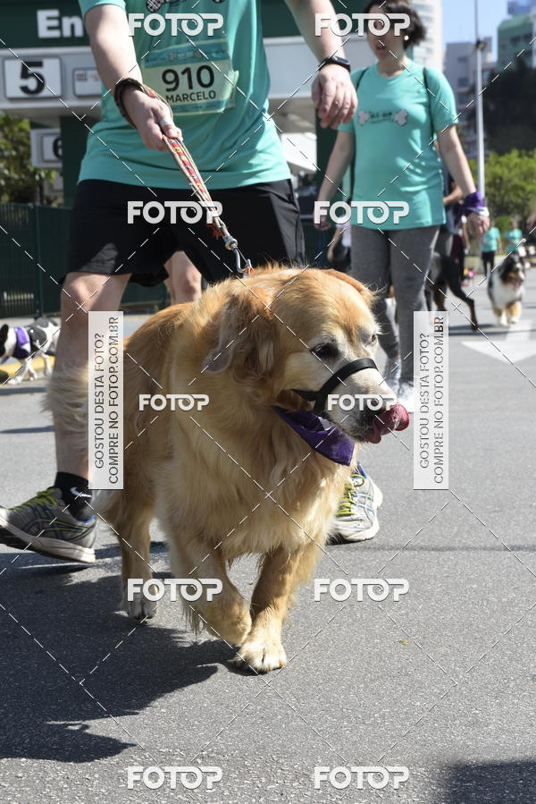 Buy your photos of the event2� Pet Run Shopping Eldorado  on Fotop