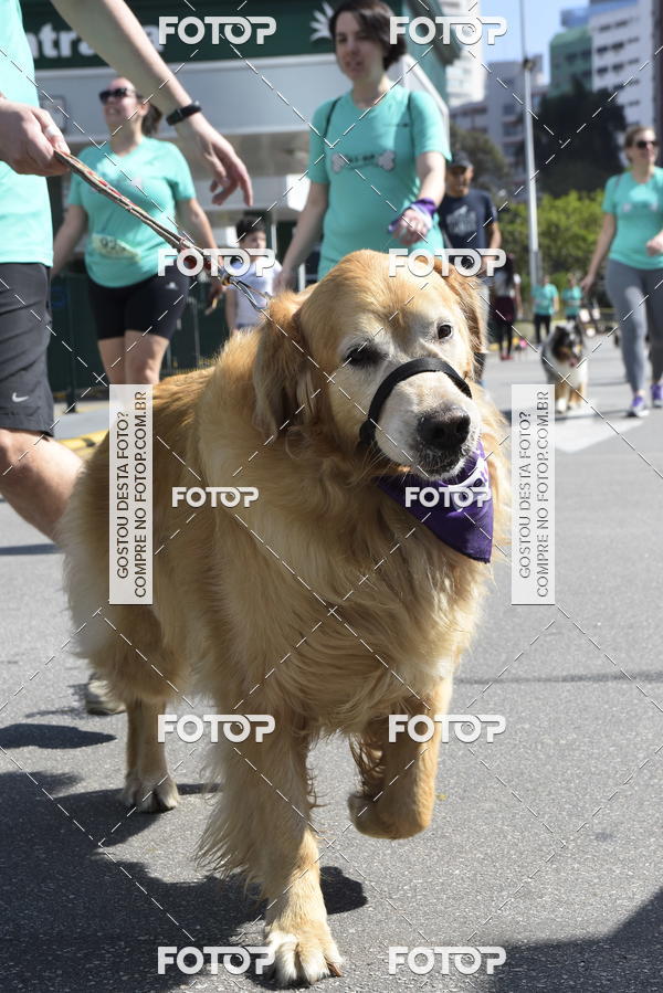 Buy your photos of the event2� Pet Run Shopping Eldorado  on Fotop